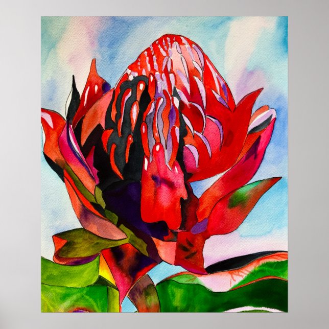 Póster Waratah Flor acuática australiana (Frente)
