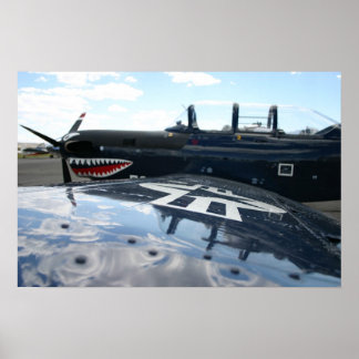 Póster Warbird