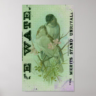 Póster Warbler Vintage