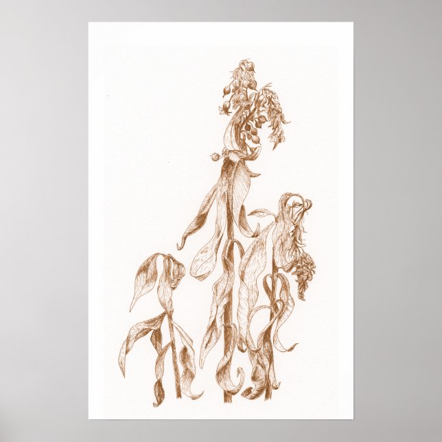 Póster Warm Seasonal Botanical Ink Art Elegant Wall  (Frente)