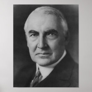 Póster Warren G. Harding 29th President