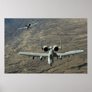 Póster Warthogs A-10