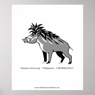 Póster Warty PIG - Animales en peligro de extinción - Gue
