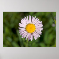 Washington, Cordillera de Cascada, Monte Baker