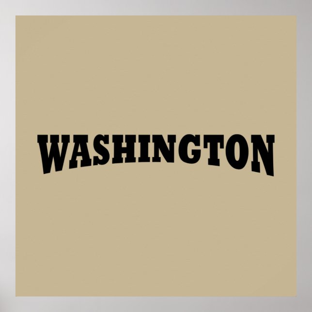 Póster washington dc (Frente)