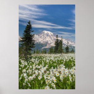 Póster Washington, Parque Nacional Mount Rainier 1