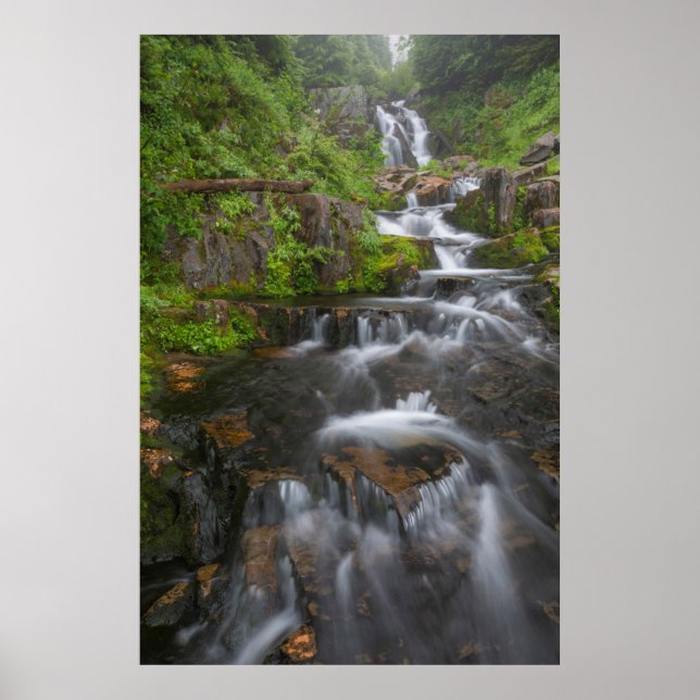 Póster Washington, Parque Nacional Mount Rainier 2 (Frente)