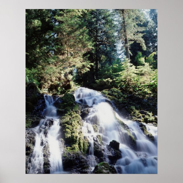 Póster Washington, Parque Nacional Olímpico, una cascada (Frente)