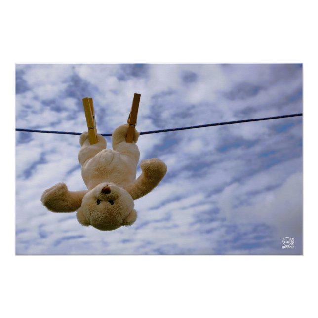 Póster Waslijn met Funny beer die hangt te drogen. (Anverso)