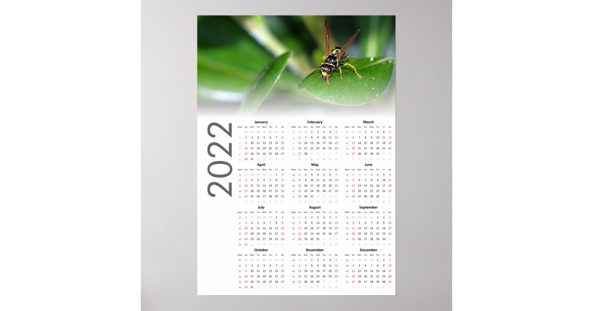 Bottled Wasp Calendar 2025