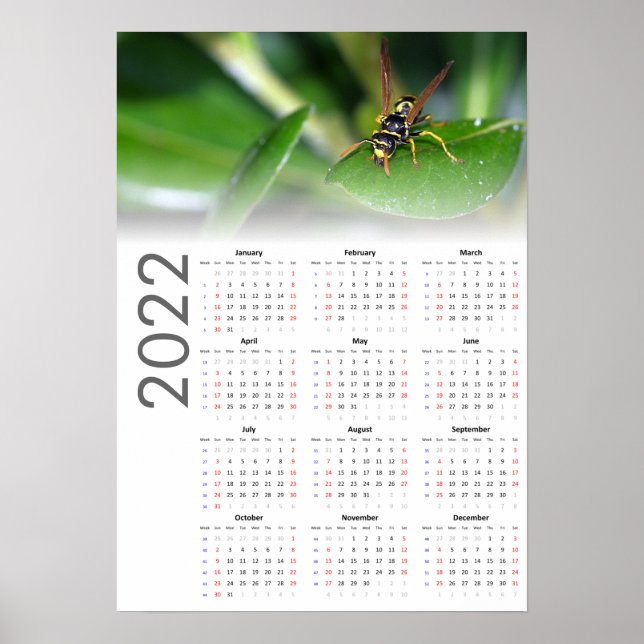 Póster Wasp Calendar 2022 Poster - Domingo de inicio (Frente)