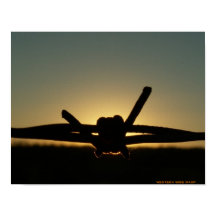 Wasp de alambre occidental