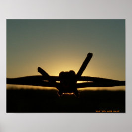 Póster Wasp de alambre occidental