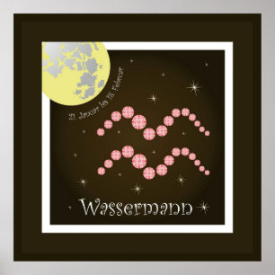 Póster Wassermann 21. Januar bis 18. Poster de febrero