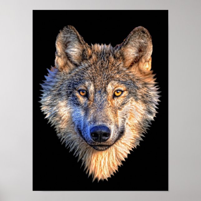 Póster Watchful Wolf (Frente)