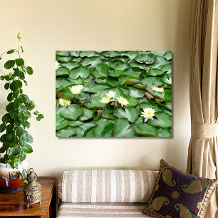 Póster Water Lilies