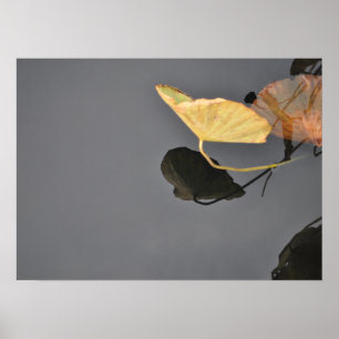 Póster Water Lilies Poster
