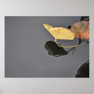 Póster Water Lilies Poster