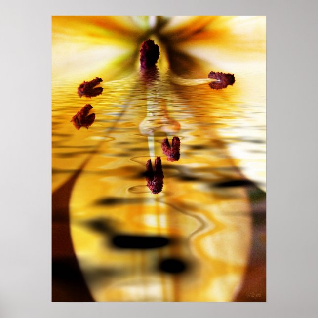 Póster Water Lillium Print (Frente)
