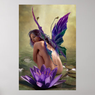 Póster Water Lily by J. Matthew Root