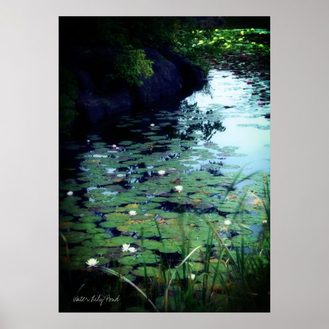 Póster Water Lily Pond ：Archive Heavy Weight Paper (Frente)