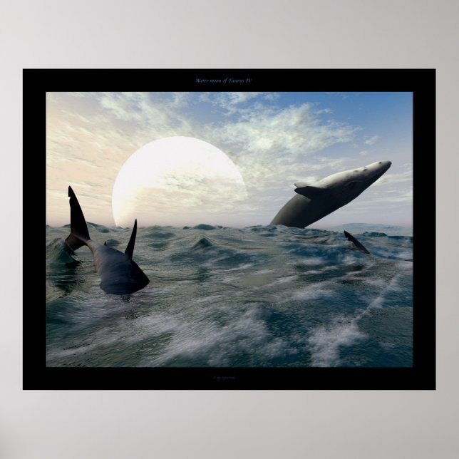 Póster Water moon of Taurus IV (Frente)