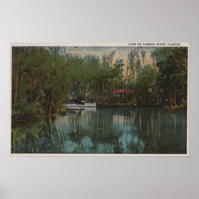 Póster Water View of Tomoka River & Marsh, Florida (Frente)