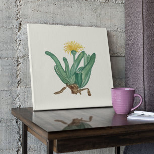Póster Watercolor Antique Botanical Cactus Print Poster