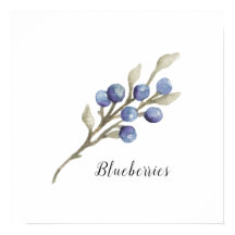 Watercolor Blueberries Botánico