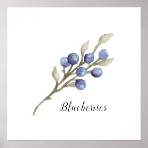 Póster Watercolor Blueberries Botánico