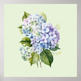 Póster Watercolor Botanical Floral Hydrangea