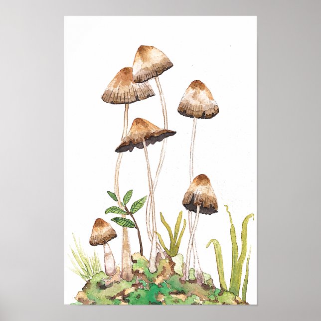 Póster Watercolor Brown Forest Mushrooms (Frente)