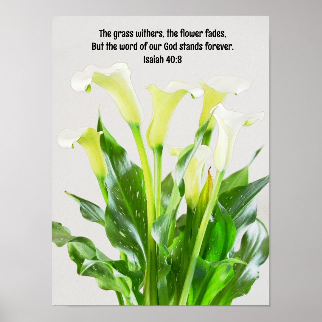 Póster Watercolor Calla Lily Flores Biblia Verse Art (Frente)