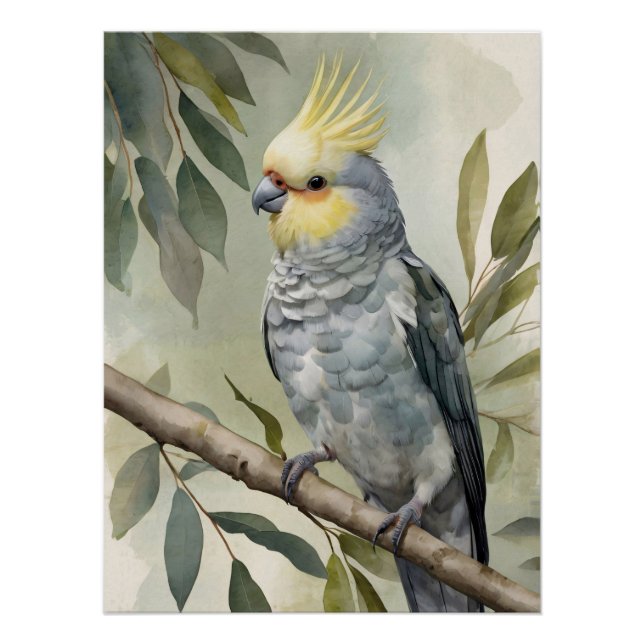 Póster Watercolor Cockatiel Eucalyptus Tree (Anverso)