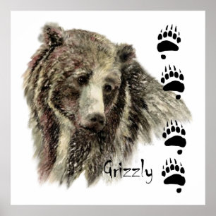 Póster Watercolor Grizzly Bear Wildlife Nature Art