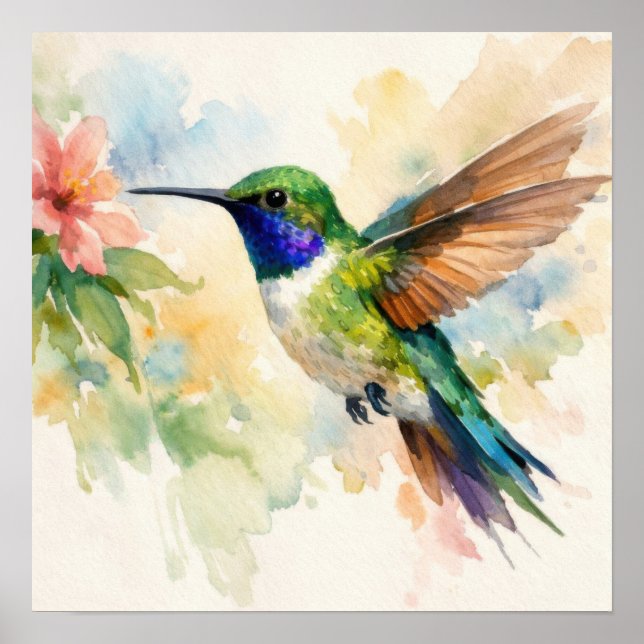 Póster Watercolor Hummingbird (Frente)