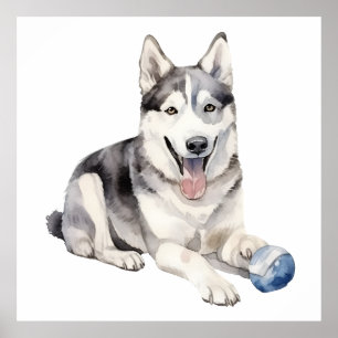 Póster Watercolor Husky Dog