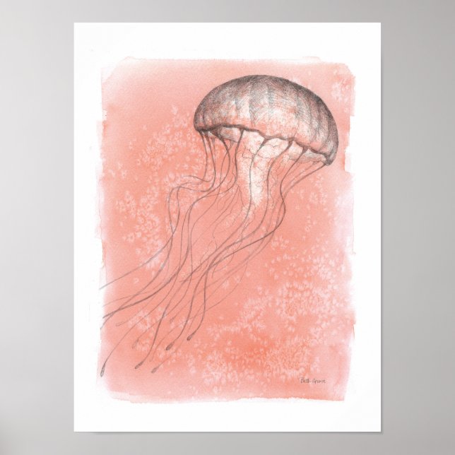 Póster Watercolor Jellyfish (Frente)