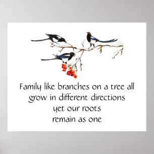 Póster Watercolor Magpie Family Cita Animal Nature