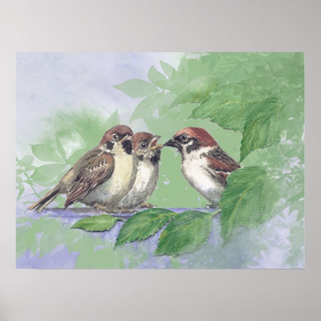 Póster Watercolor Mother Sparrow Feeding Chicks (Frente)
