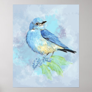 Póster Watercolor Mountain Bluebird Bird Naturaleza