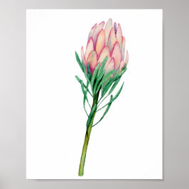 Póster Watercolor Pink Floral Art