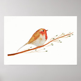 Póster Watercolor Robin Bird