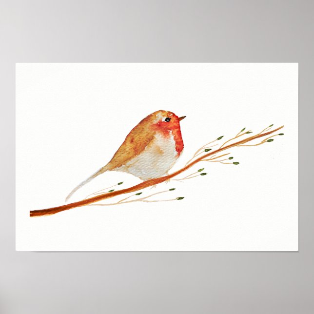 Póster Watercolor Robin Bird (Frente)
