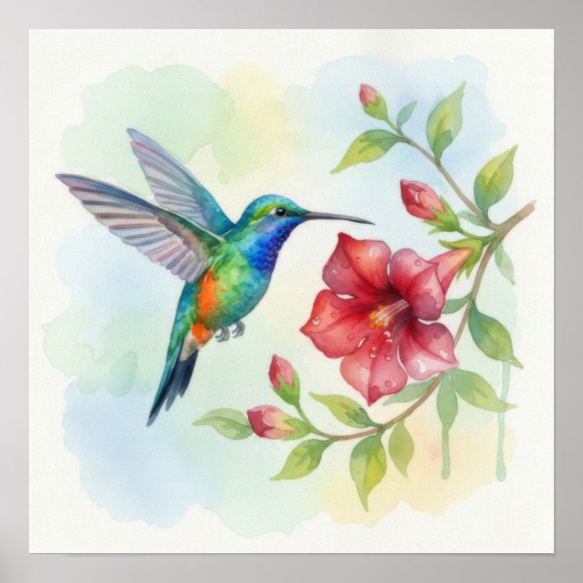 Póster Watercolor Small Hummingbird (Frente)