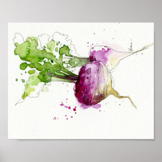 Póster Watercolor Vegetable kitchen art, Turnip