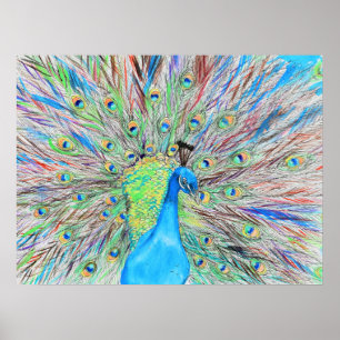 Póster Watercolour Peacock Painting
