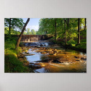 Póster Waterfall and Stream in Central North Carolina