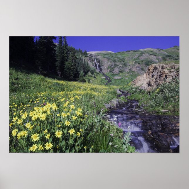 Póster Waterfall and wildflowers in alpine meadow, (Frente)