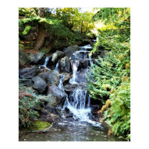 Waterfall Van Dusen BotanGarden Vancouver